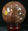 Colorful Petrified Wood Sphere #20644-1